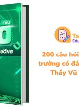200 câu hỏi lý thuyết từ trường có đáp án miễn phí Thầy Vũ Tuấn Anh